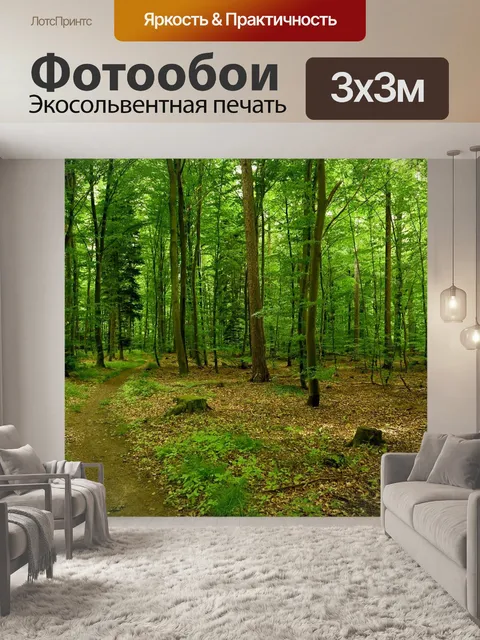 Фотообои Черный лес