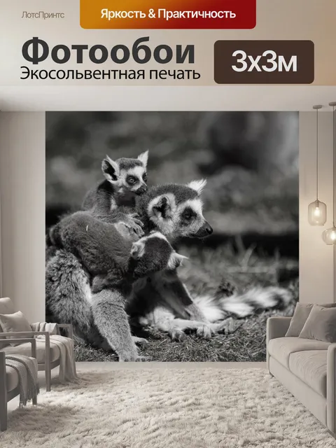 Фотообои Кошачий лемур