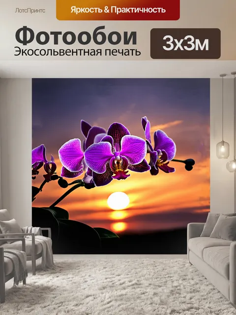 Фотообои распустившаяся орхидея