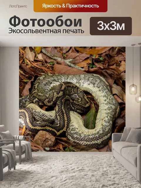 Фотообои Ковер питон