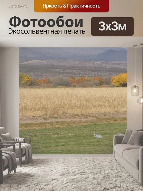 Фотообои Канадские журавли
