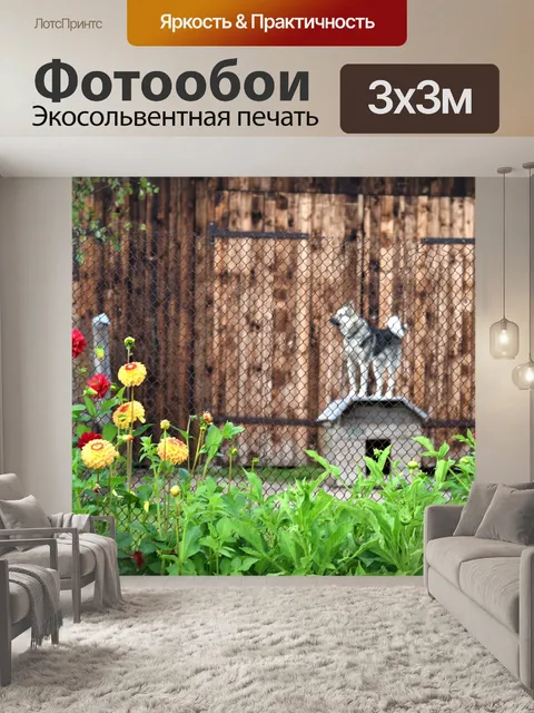 Фотообои Собака