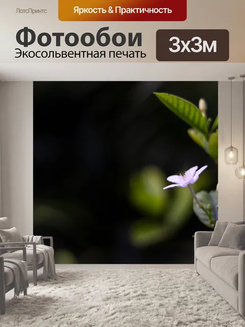 Фотообои Белый цветок