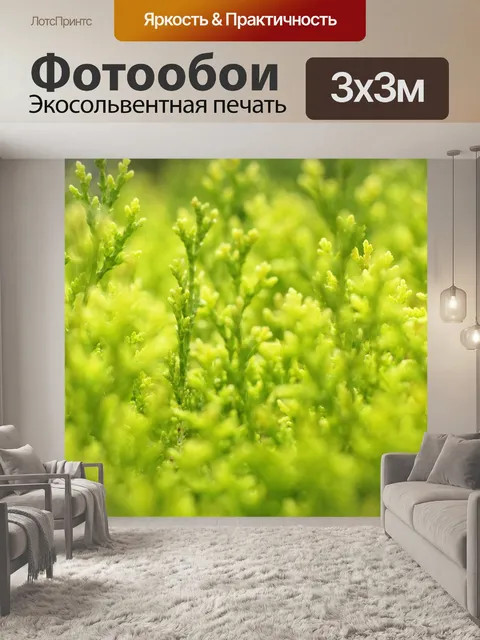 Фотообои Сад