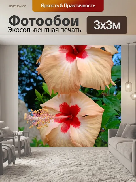 Фотообои Отлично