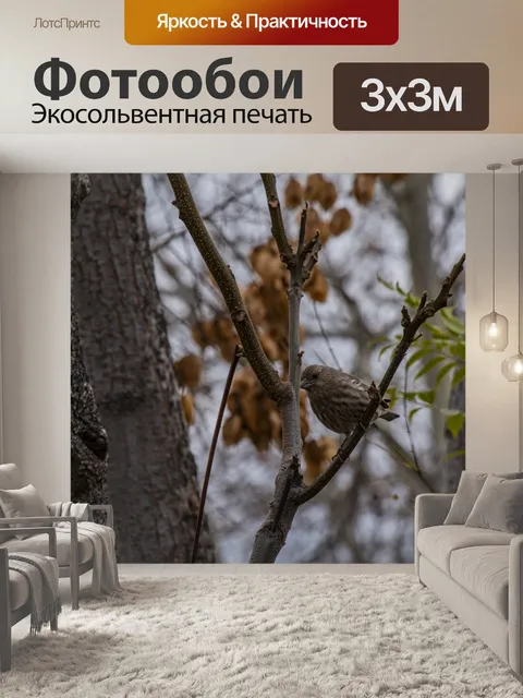 Фотообои Дом Финч на ветке