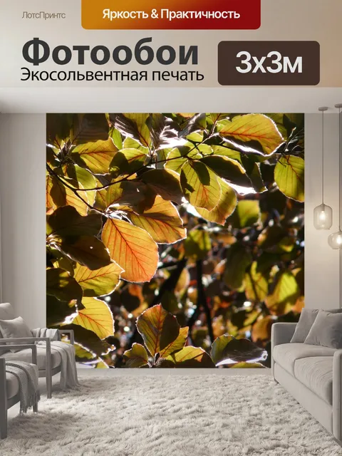Фотообои Кровавый бук