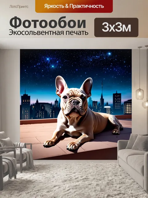 Фотообои герда, французский бульдог, мечтательно смотрит на звёзды, лежа на крыше дома