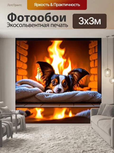 Фотообои сцена из зимнего вечера: папильон