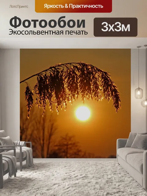 Фотообои Тростник