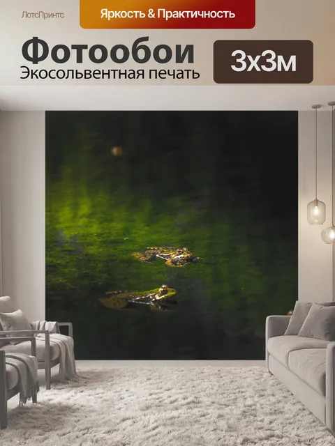 Фотообои Лягушки