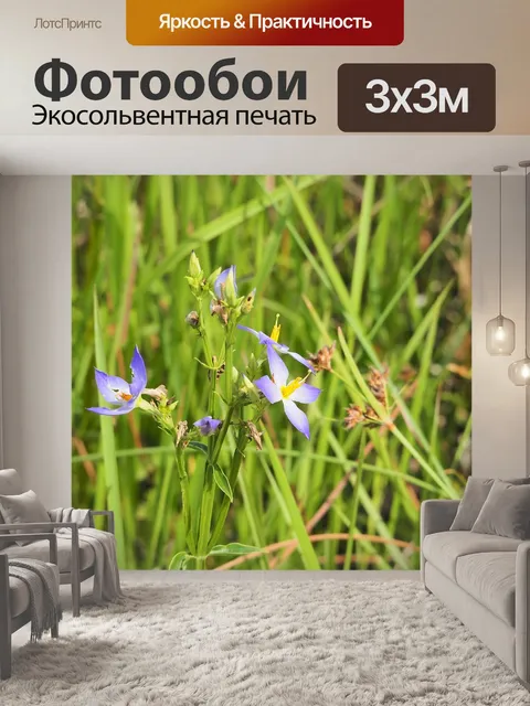 Фотообои Природа