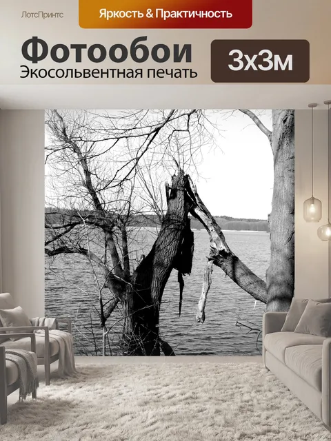 Фотообои Дерево
