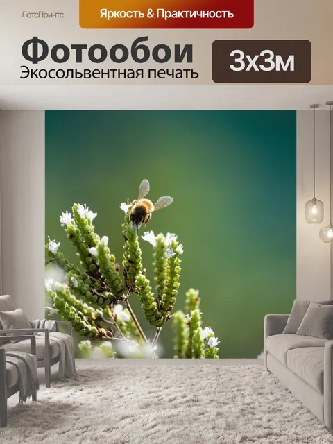 Фотообои Бирюзовый