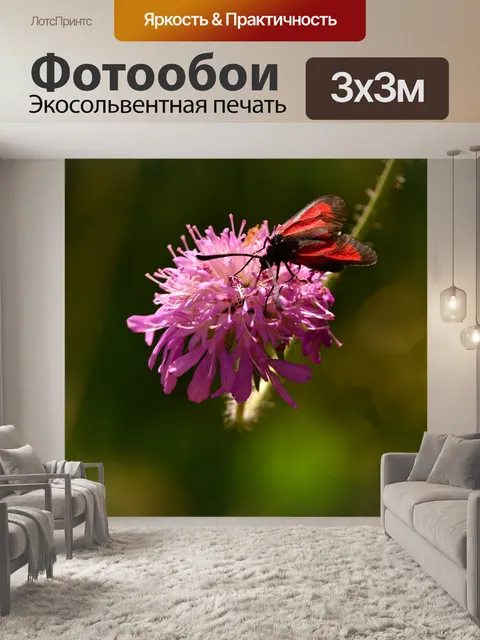 Фотообои Бабочка