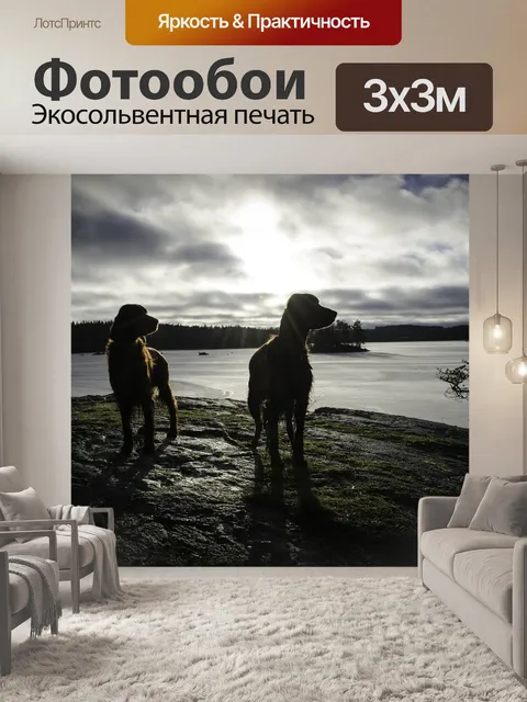 Фотообои Собаки