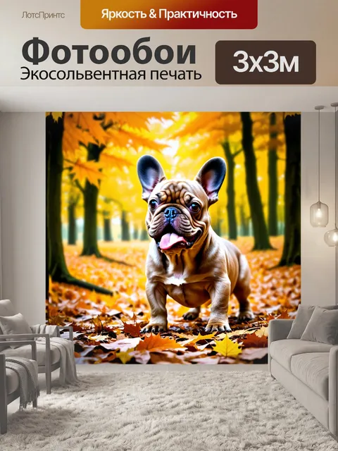 Фотообои на фоне густого осеннего леса