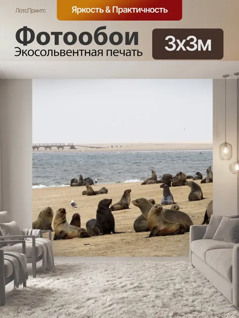 Фотообои Морские львы