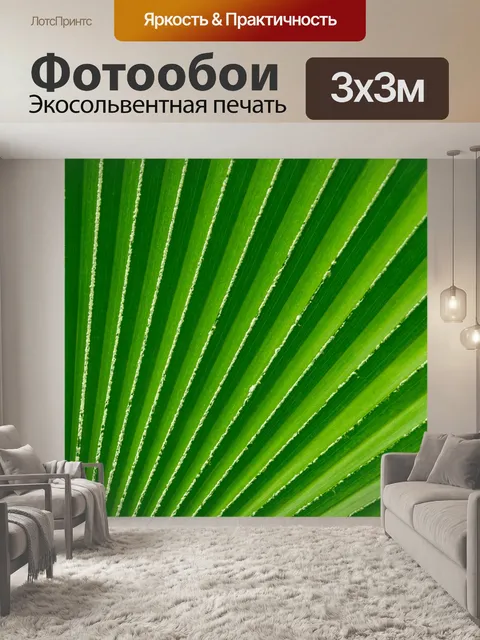 Фотообои Зеленый лист пальмы