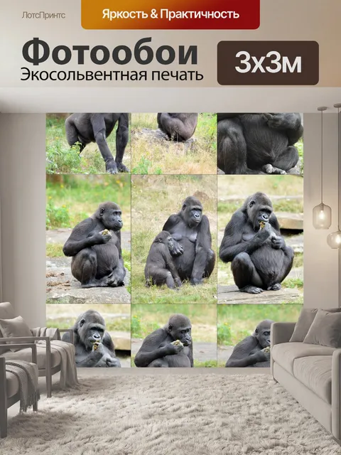 Фотообои Горилла Коллаж 2