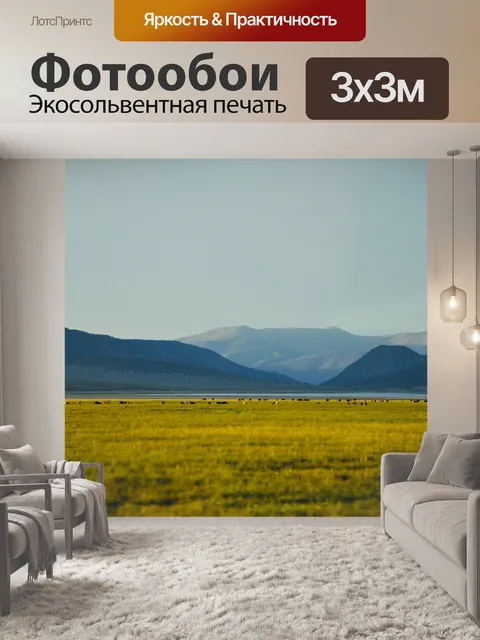 Фотообои Америка
