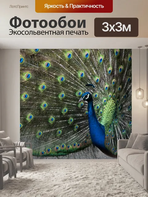 Фотообои павлиний хвост