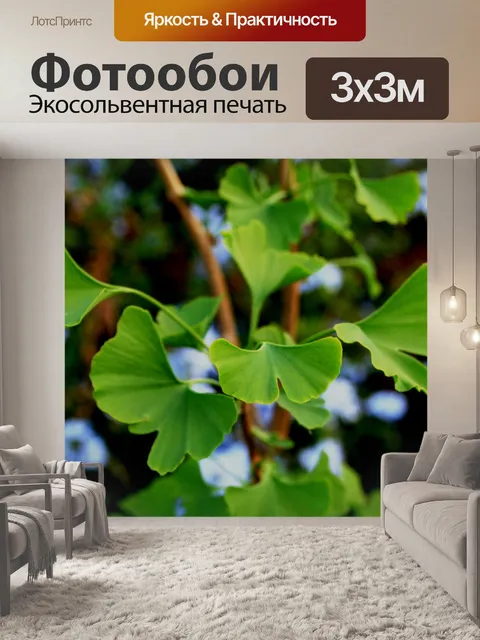 Фотообои Гинкго билоба и bluebush