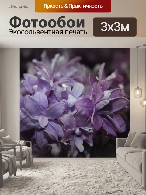Фотообои Лаванда ночью