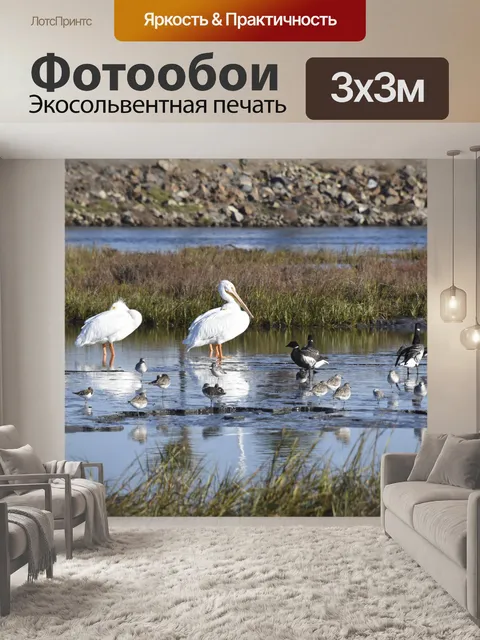 Фотообои Водно-болотные угодья Жители