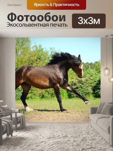 Фотообои Лошадь