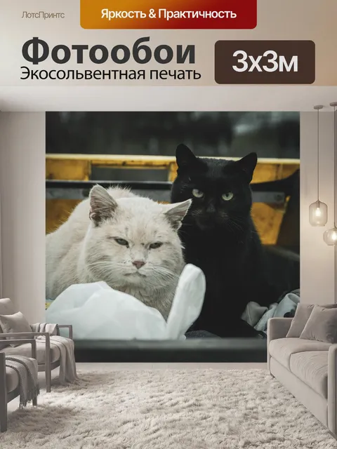 Фотообои Кошки