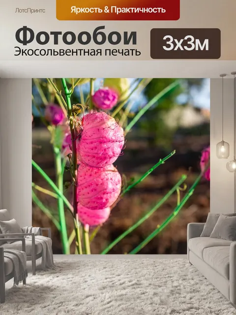 Фотообои Фрукты