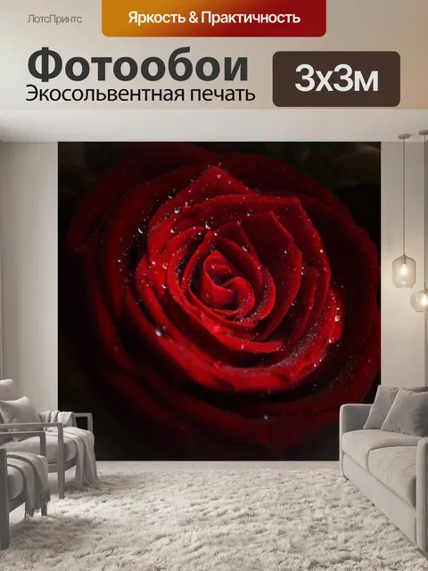 Фотообои Роза