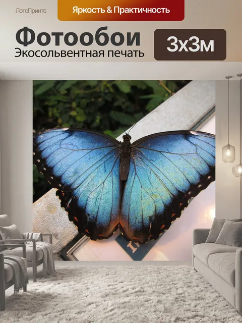 Фотообои Небо бабочка