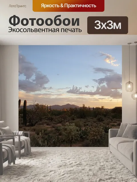 Фотообои Сагуаро