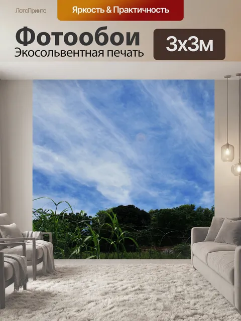 Фотообои пернатые и туманный облако