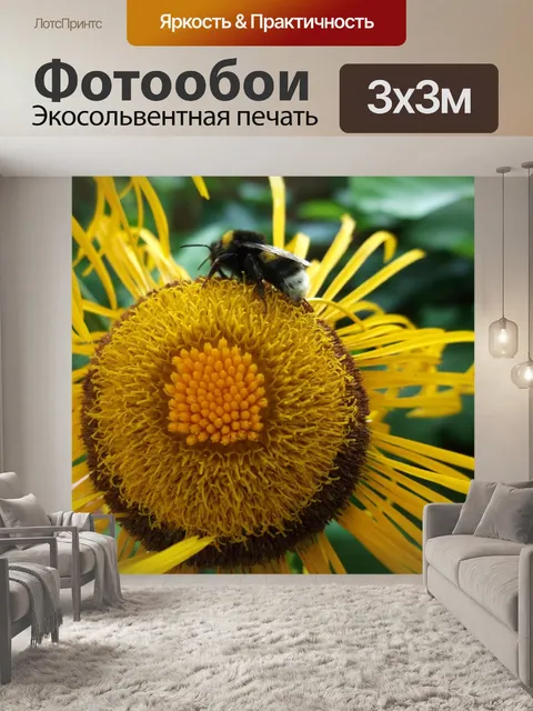 Фотообои Alant inula