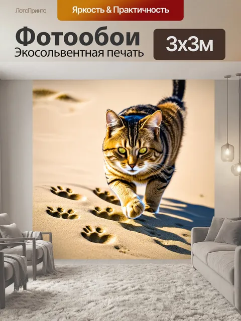 Фотообои кот, который оставляет свои следы на песке