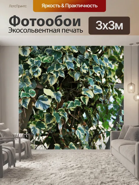 Фотообои восхождение плющ