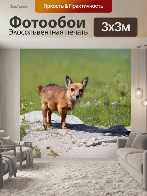 Фотообои в кадр объектива попадает эпический пейзаж: широко раскинувшийся канадский лес подходит к кромке озера