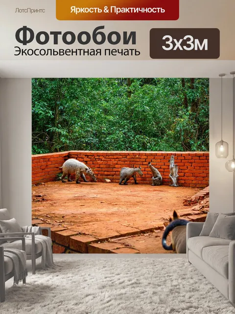 Фотообои кирпичи, животные играют вокруг них в джунглях