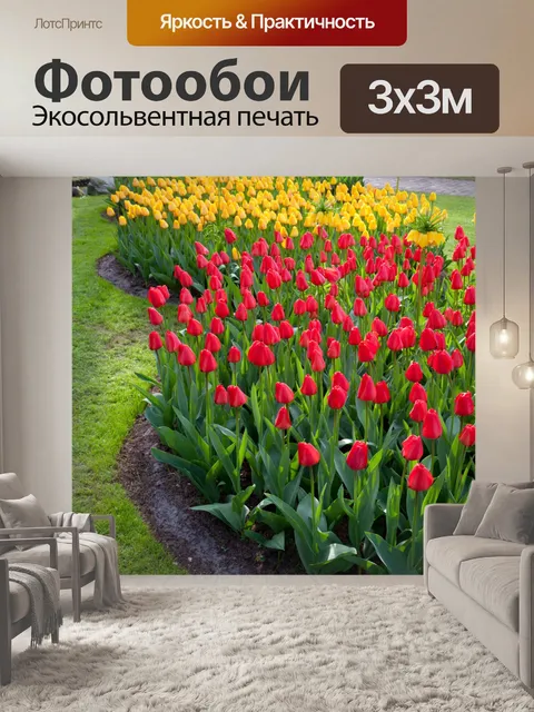 Фотообои красный и желтый тюльпан кровати