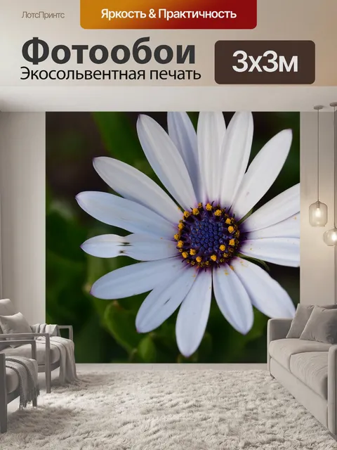 Фотообои Цветок