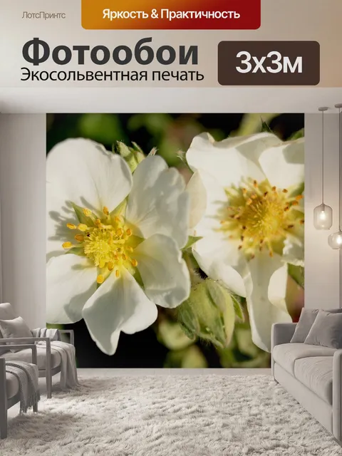 Фотообои Цветы