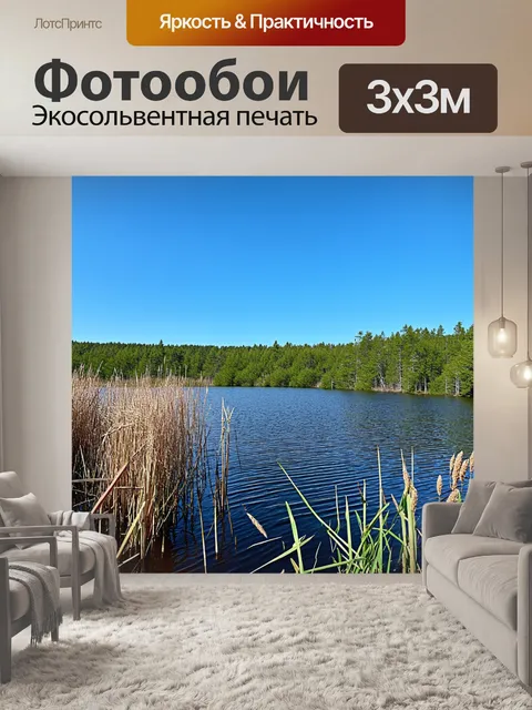 Фотообои озеро, окруженное лесом, тростник на переднем плане, ясное голубое небо, солнечный день, летняя природа…