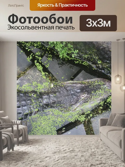 Фотообои Крокодил