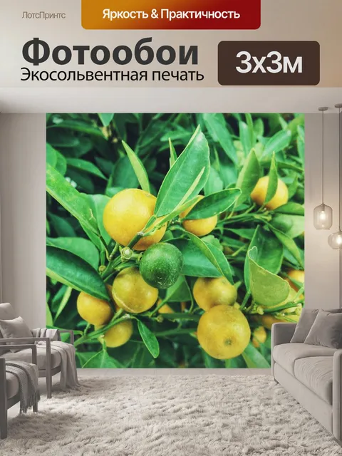 Фотообои Лимоны