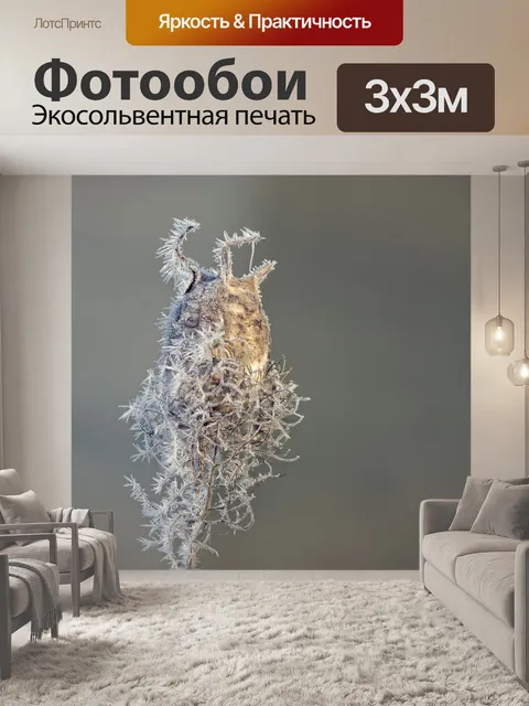 Фотообои Стручок семян