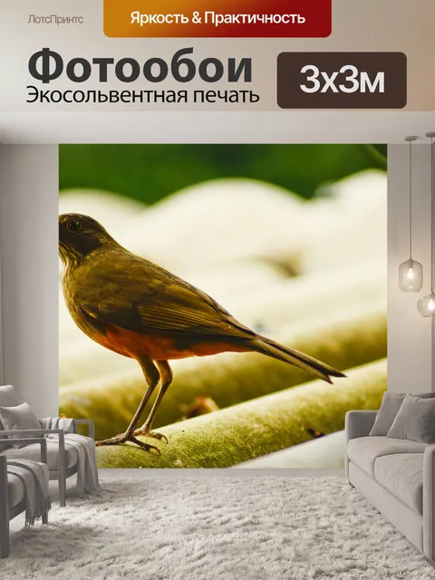 Фотообои Огненный пузатые Молочница