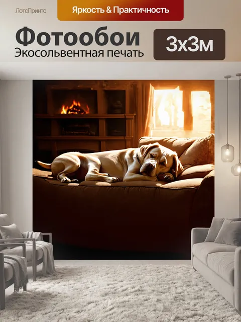 Фотообои лабрадор, мирно спящий на диване, в лучах мягкого света заката